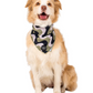 Dog Bandana Wavy Kaki Pablo & Co