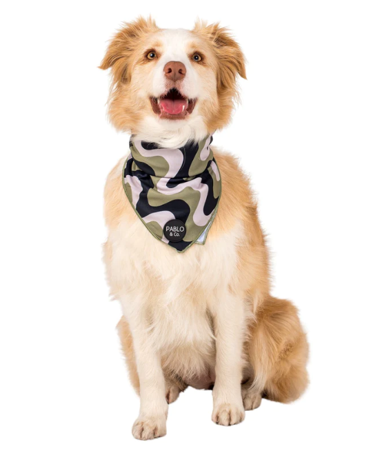 Dog Bandana Wavy Kaki Pablo & Co