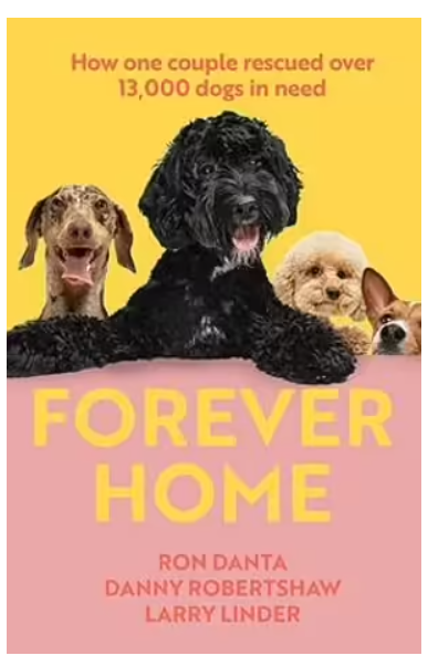 SALE Forever Home 40% off